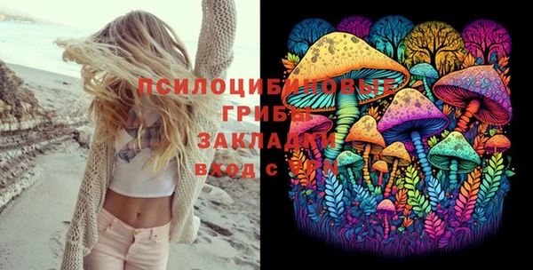 стафф Алзамай