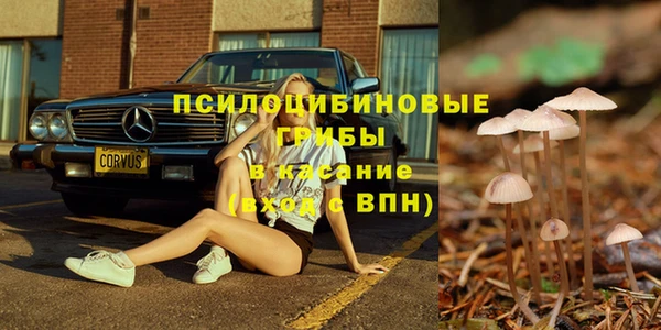 каннабис Алексеевка